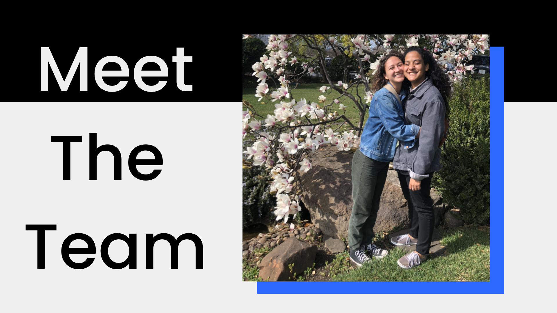 meet the team featured image